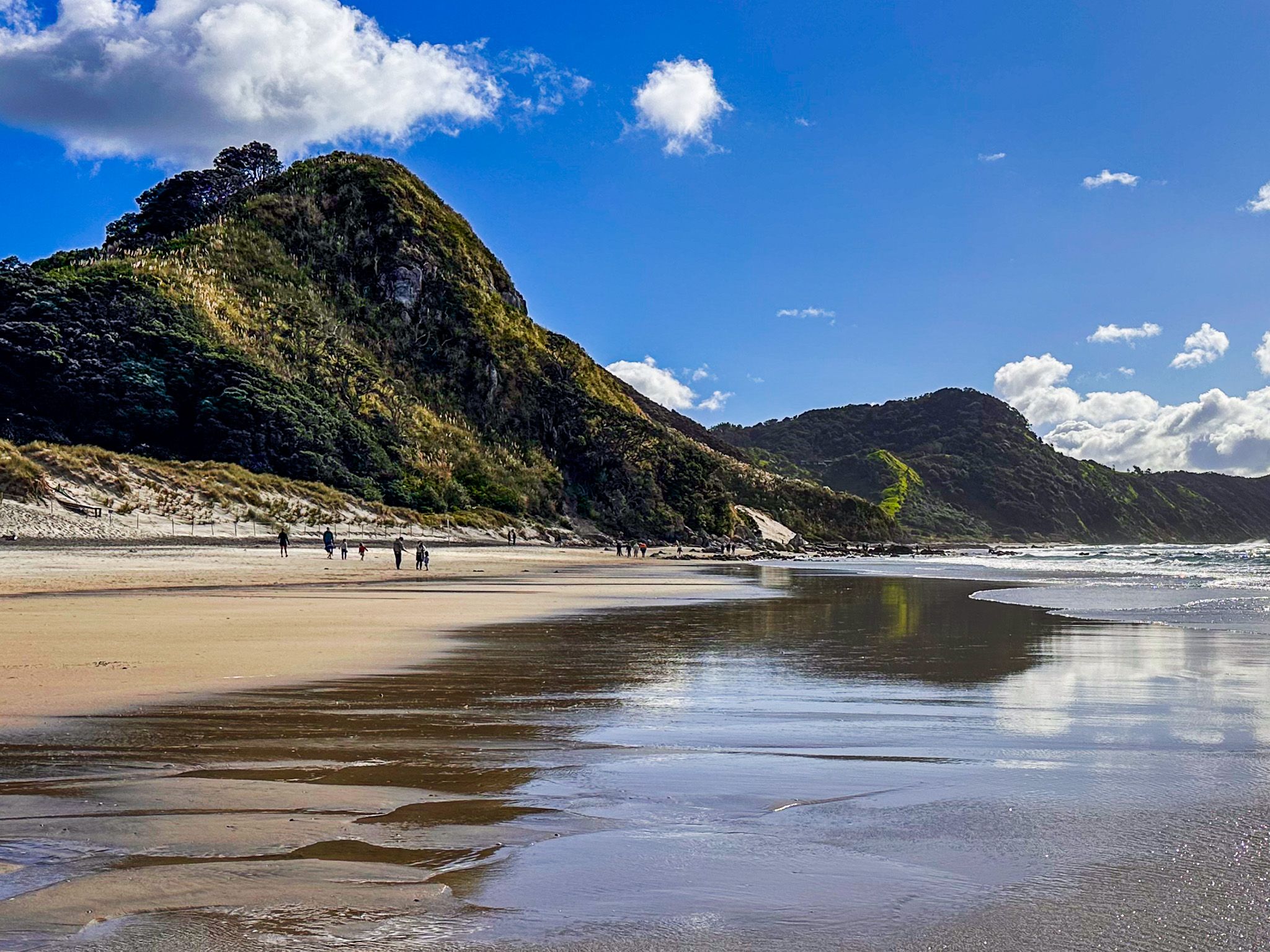 Low tide at Mangawhai Heads, wet sand reflecting the sky, with a steep bush-covered headland beyond and people walking the beach